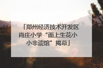 郑州经济技术开发区肖庄小学“面上生花小小非遗馆”揭幕