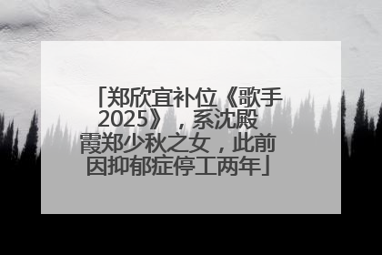 郑欣宜补位《歌手2025》，系沈殿霞郑少秋之女，此前因抑郁症停工两年