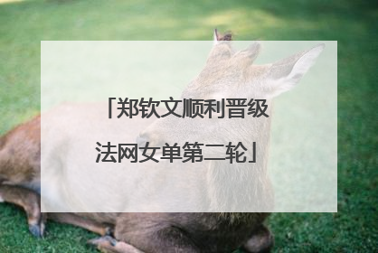 郑钦文顺利晋级法网女单第二轮