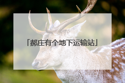 郝庄有个地下运输站