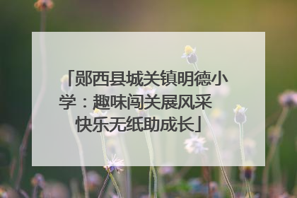 郧西县城关镇明德小学：趣味闯关展风采 快乐无纸助成长