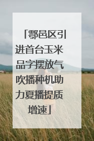 鄠邑区引进首台玉米品字摆放气吹播种机助力夏播提质增速