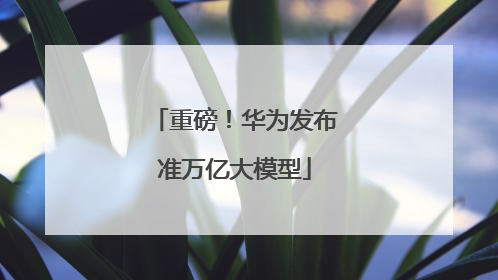 重磅！华为发布准万亿大模型