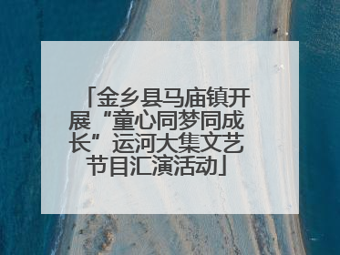 金乡县马庙镇开展“童心同梦同成长”运河大集文艺节目汇演活动