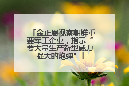 金正恩视察朝鲜重要军工企业，指示“要大量生产新型威力强大的炮弹”