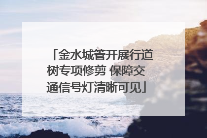 金水城管开展行道树专项修剪 保障交通信号灯清晰可见