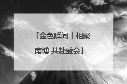 金色瞬间丨相聚南博 共赴盛会