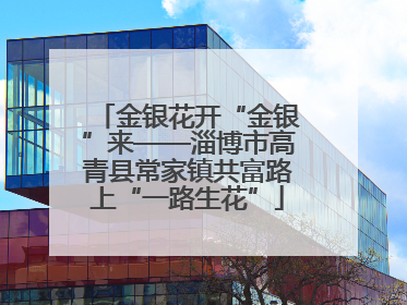 金银花开“金银”来——淄博市高青县常家镇共富路上“一路生花”