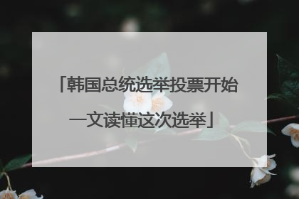 韩国总统选举投票开始 一文读懂这次选举