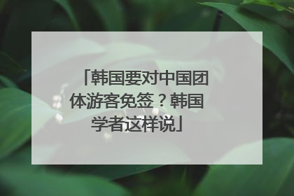 韩国要对中国团体游客免签？韩国学者这样说