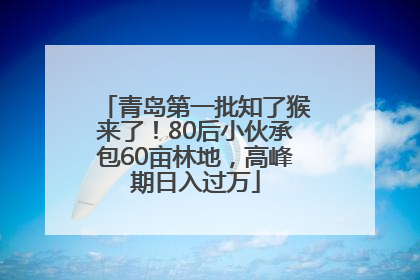 青岛第一批知了猴来了！80后小伙承包60亩林地，高峰期日入过万