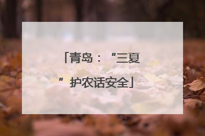 青岛：“三夏”护农话安全