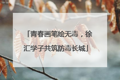 青春画笔绘无毒，徐汇学子共筑防毒长城