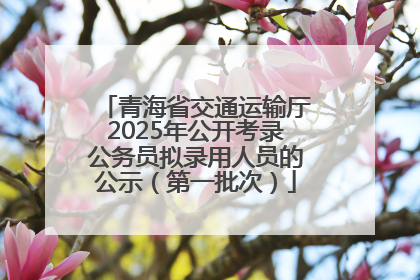 青海省交通运输厅2025年公开考录公务员拟录用人员的公示（第一批次）