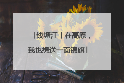 钱塘江丨在高原，我也想送一面锦旗