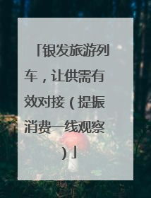 银发旅游列车，让供需有效对接（提振消费一线观察）