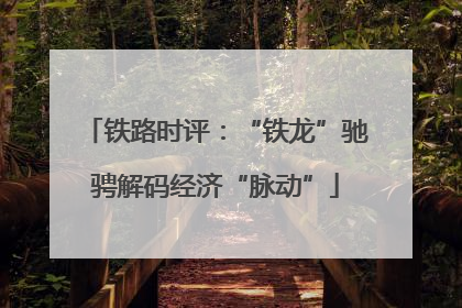 铁路时评：“铁龙”驰骋解码经济“脉动”