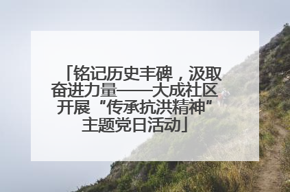 铭记历史丰碑，汲取奋进力量——大成社区开展“传承抗洪精神”主题党日活动