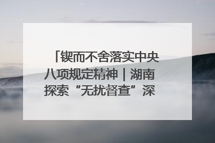 锲而不舍落实中央八项规定精神｜湖南探索“无扰督查”深化基层减负