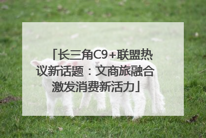 长三角C9+联盟热议新话题：文商旅融合激发消费新活力