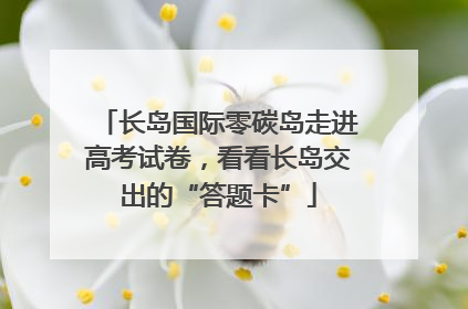 长岛国际零碳岛走进高考试卷，看看长岛交出的“答题卡”