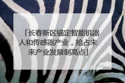 长春新区锚定智能机器人和传感器产业，抢占未来产业发展制高点