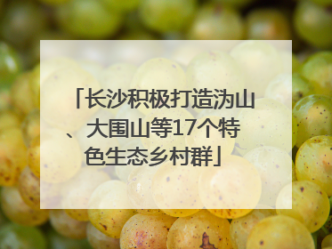 长沙积极打造沩山、大围山等17个特色生态乡村群