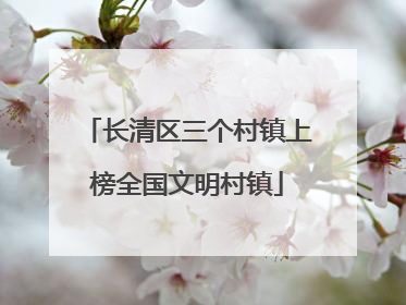 长清区三个村镇上榜全国文明村镇