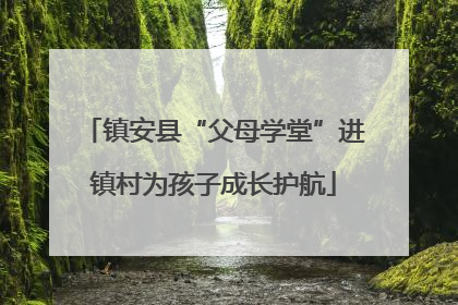 镇安县“父母学堂”进镇村为孩子成长护航
