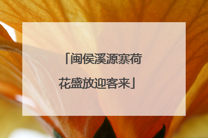 闽侯溪源寨荷花盛放迎客来