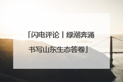 闪电评论丨绿潮奔涌 书写山东生态答卷