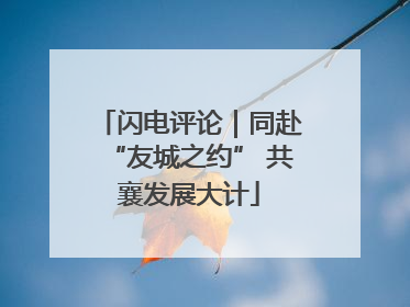 闪电评论｜同赴“友城之约” 共襄发展大计