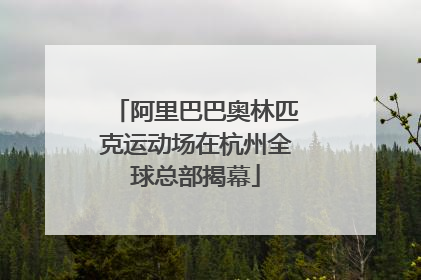 阿里巴巴奥林匹克运动场在杭州全球总部揭幕