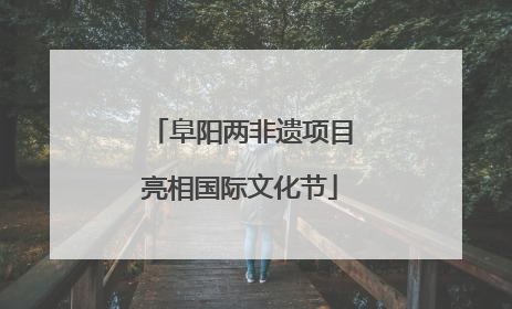 阜阳两非遗项目亮相国际文化节