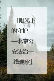 阳光下的守护——北京公安法治一线观察