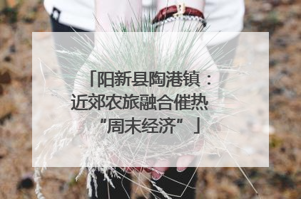 阳新县陶港镇：近郊农旅融合催热“周末经济”