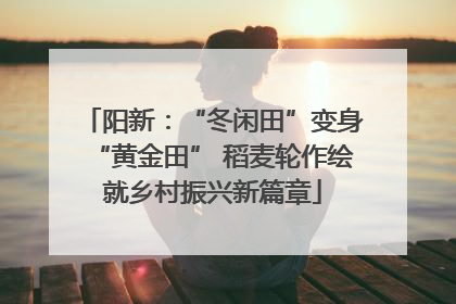 阳新：“冬闲田”变身“黄金田” 稻麦轮作绘就乡村振兴新篇章