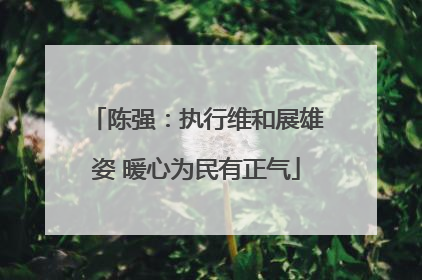 陈强：执行维和展雄姿 暖心为民有正气