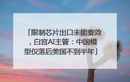 限制芯片出口未能奏效，白宫AI主管：中国模型仅落后美国不到半年