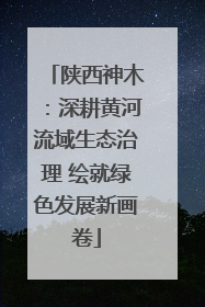 陕西神木：深耕黄河流域生态治理 绘就绿色发展新画卷
