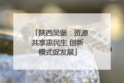 陕西吴堡：资源共享惠民生 创新模式促发展