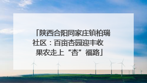 陕西合阳同家庄镇柏瑞社区：百亩杏园迎丰收 果农走上“杏”福路