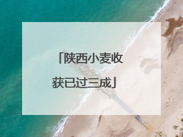 陕西小麦收获已过三成