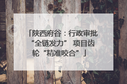 陕西府谷：行政审批“全链发力” 项目齿轮“精准咬合”