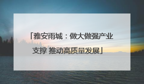 雅安雨城：做大做强产业支撑 推动高质量发展