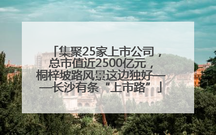 集聚25家上市公司，总市值近2500亿元，桐梓坡路风景这边独好——长沙有条“上市路”