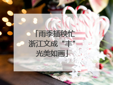 雨季插秧忙 浙江文成“丰”光美如画