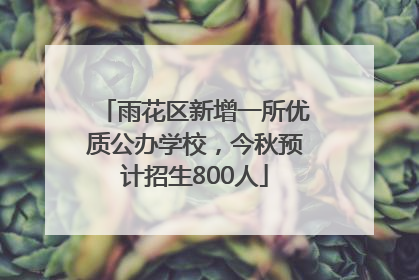 雨花区新增一所优质公办学校，今秋预计招生800人