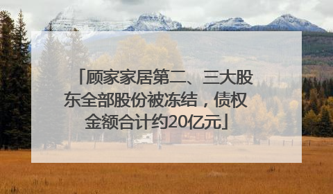 顾家家居第二、三大股东全部股份被冻结，债权金额合计约20亿元