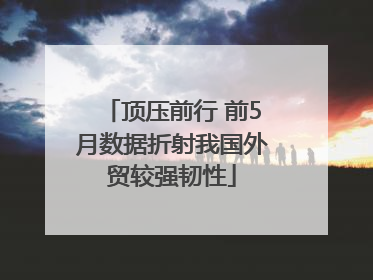 顶压前行 前5月数据折射我国外贸较强韧性